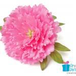 Silk Peony Barr..